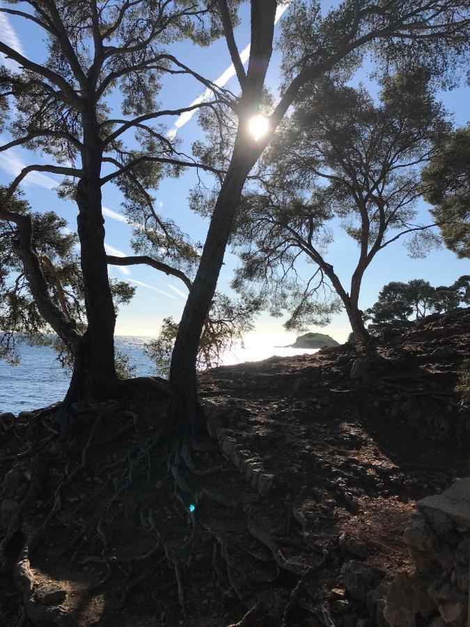Villa Lucienne Bandol , T2 4 Etoiles Avec Garage, Dans Les Calanques Zewnętrze zdjęcie